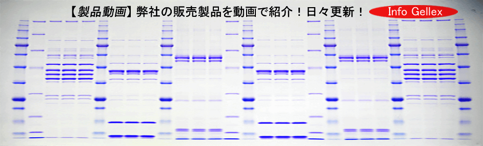 弊社の販売製品を動画で紹介！日々更新！