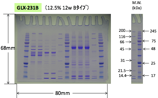 GLX-231B