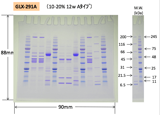 GLX-281M